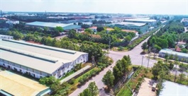 Doanh thu đi lùi, TIP vẫn lãi kỷ lục nhờ “đòn bẩy” tài chính từ Cảng Phước An