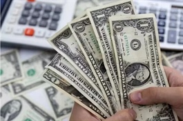 Hơn 10.3 tỷ USD kiều hối chuyển về TPHCM trong năm 2025