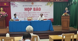 Nhiều nước muốn mua gạo thơm Việt Nam nhưng doanh nghiệp chưa xuất được