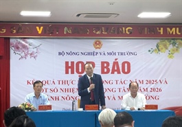 Xuất khẩu sầu riêng, lúa gạo thắng lớn: Vì sao doanh nghiệp vẫn lo 'đói' vốn?