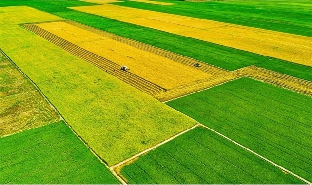 14th Party Congress: Laying new foundations for green growth