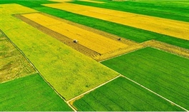 14th Party Congress: Laying new foundations for green growth