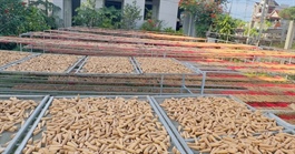 Bất ngờ về sản phẩm làng nghề mới nổi trên TikTok Shop mùa Tết