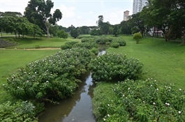 Decree opens incentives for green urban development