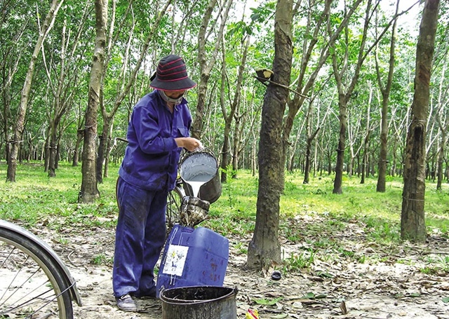 State-owned stocks surge as market prices in structural reform cycle (translated)