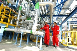 Use of natural gas in industry is important to support net-zero target: experts