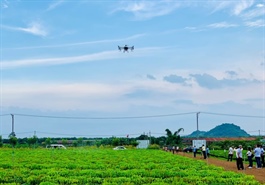 Kinh tế tầm thấp Việt Nam: Cơ hội tỉ USD từ drone và taxi bay