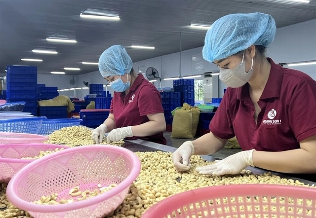 Cashew exports surpass $5 billion for the first time