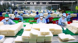 Tây Ninh OCOP product producers ramp up supply for Tết