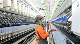 Sợi Thế Kỷ báo lãi 2025 tăng 300% nhưng mới là cú bật từ đáy