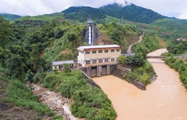 NED vượt xa kế hoạch năm