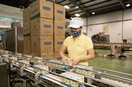 QNS đứt chuỗi lợi nhuận ròng trên 2,000 tỷ mỗi năm