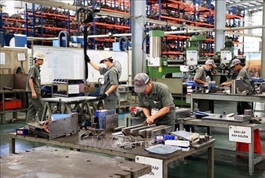 Japanese firms in Việt Nam hit 15-year profit high