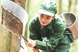 Market mixed, VN-Index extends losses