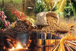 SHS góp thêm 150 tỷ vào doanh nghiệp giao dịch hàng hóa