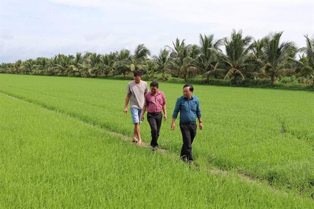 Vĩnh Long identifies new growth drivers