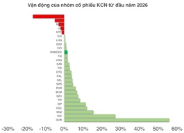 Sắc màu tích cực hơn của cổ phiếu khu công nghiệp sau cú sốc thuế quan