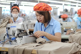 MSH lãi kỷ lục 612 tỷ, trả lương cho gần 12,000 lao động ra sao?