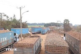 Hải quan phối hợp giải phóng nông sản ùn ứ ở các cửa khẩu