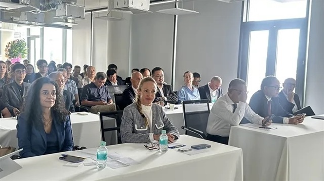 Việt Nam’s low-altitude economy faces structural challenges