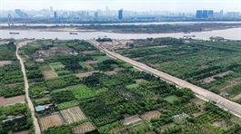 Quy định tính tiền sử dụng đất khi chuyển mục đích từ đất vườn, đất nông nghiệp sang đất ở