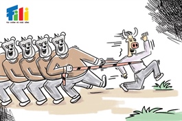 Góc nhìn 03/02: Tận dụng nhịp rung lắc?