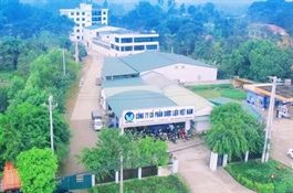 Lợi nhuận giảm, Tổng Giám đốc DVM muốn thoái hơn nửa vốn