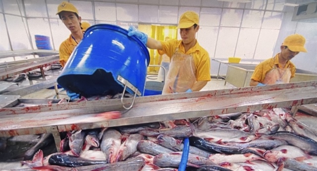 Seafood sector reels in growth after bumper year