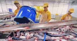 Seafood sector reels in growth after bumper year
