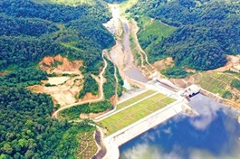 VSH tổ chức đại hội thường niên vào tháng 4, sắp tạm ứng hơn 236 tỷ đồng cổ tức