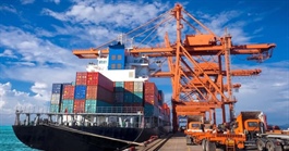 Đề xuất sửa đổi mức thuế suất thuế xuất khẩu một số mặt hàng