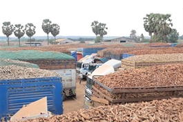 Agriculture ministry proposes fixes as new food safety rules stall farm imports