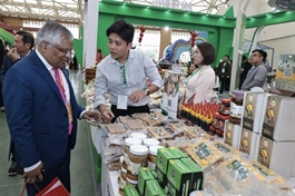 Forum discusses solutions to promote green, sustainable e-commerce