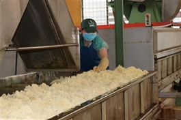 Vietnamese coffee exporters urged to revamp supply chains for stricter EU rules