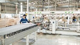 Ngành gỗ 2025: Cuộc chơi của số ít