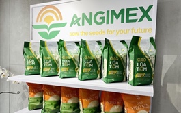 Lỗ 4 năm liên tiếp, Angimex bán 15% vốn công ty con để xoay dòng tiền