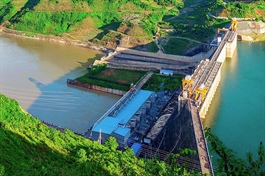 Giá cổ phiếu giảm mạnh, Thành viên HĐQT SD9 đăng ký mua 1.5 triệu cp