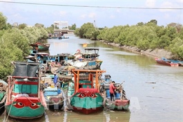 Đồng Tháp restructures fishing fleet towards sustainable harvesting of resources