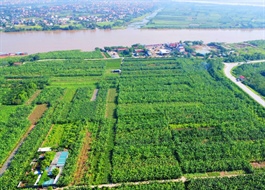 Trump International Hưng Yên được phép bán nhà cho người nước ngoài