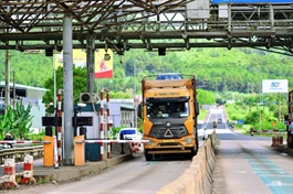 Sáu nhà đầu tư ôm trọn hơn 47 triệu cp DL1 với giá gấp đôi thị trường