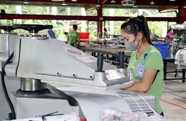 Resolution 68: Private economic sector affirms principal driver of growth, innovation