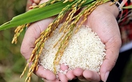 Lộ diện cổ đông lớn mua lại cổ phiếu của Chủ tịch và Tổng Giám đốc TCO