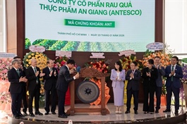 ANT – Cổ phiếu hiếm hoi hội tụ bộ ba yếu tố: Tăng trưởng, minh bạch và tài sản thực