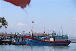 Data-driven fisheries management strengthens anti-IUU efforts