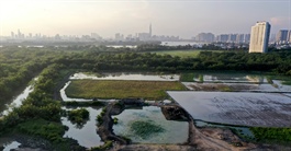 Hùn tiền mua đất bên ít bên nhiều, cùng đứng tên sổ đỏ: Ngã ngửa khi đất bị thu hồi