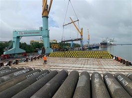 Indices end low, liquidity drops ahead of Tết