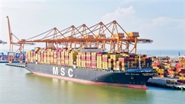 Container throughput at Vietnamese ports continues upward trend: MSB