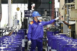 Petrolimex Chemicals (PET) reports first loss since 2008