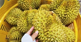 Quy định mới về xuất khẩu nông sản vào Trung Quốc