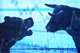 Thị trường chứng quyền ngày 13/02/2026: Diễn biến phân hóa